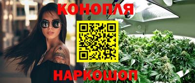 амф Бийск