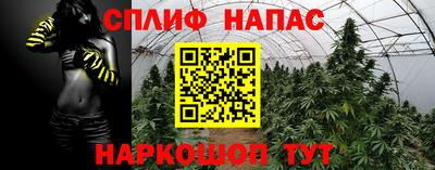 амф Бийск