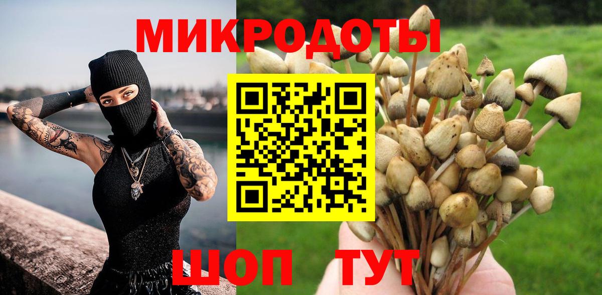 Димитровград  хочу   Вход с VPN  Псилоцибиновые грибы Psilocybe  Псилоцибиновые грибы Psilocybine cubensis 