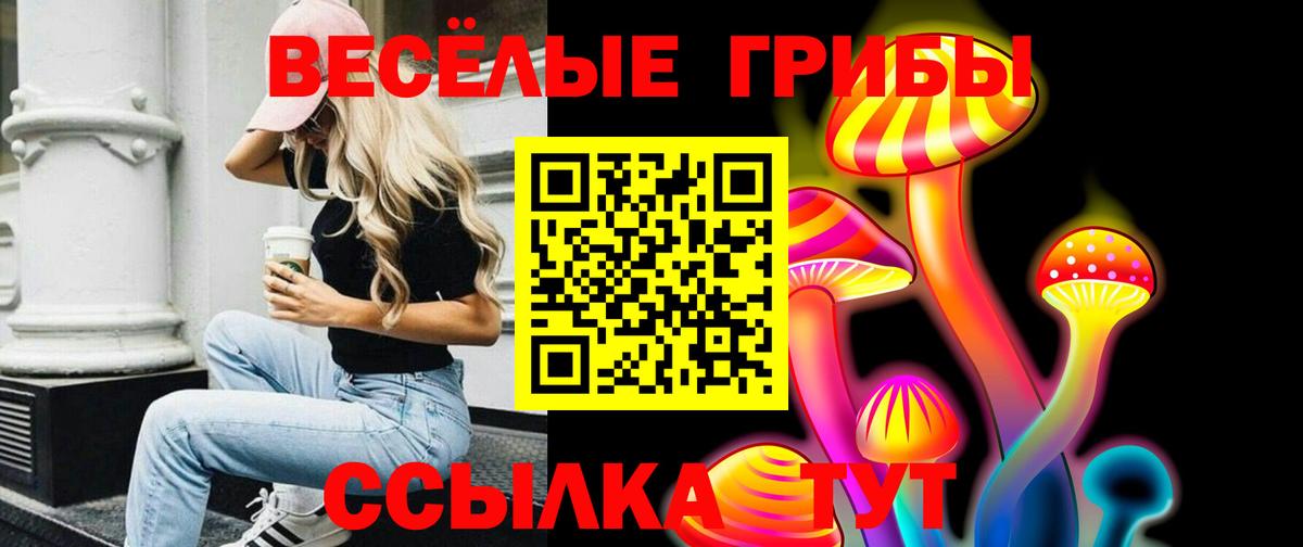 Псилоцибиновые грибы ЛСД Димитровград